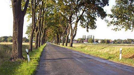 Tasdorfer Stra&szlig;e